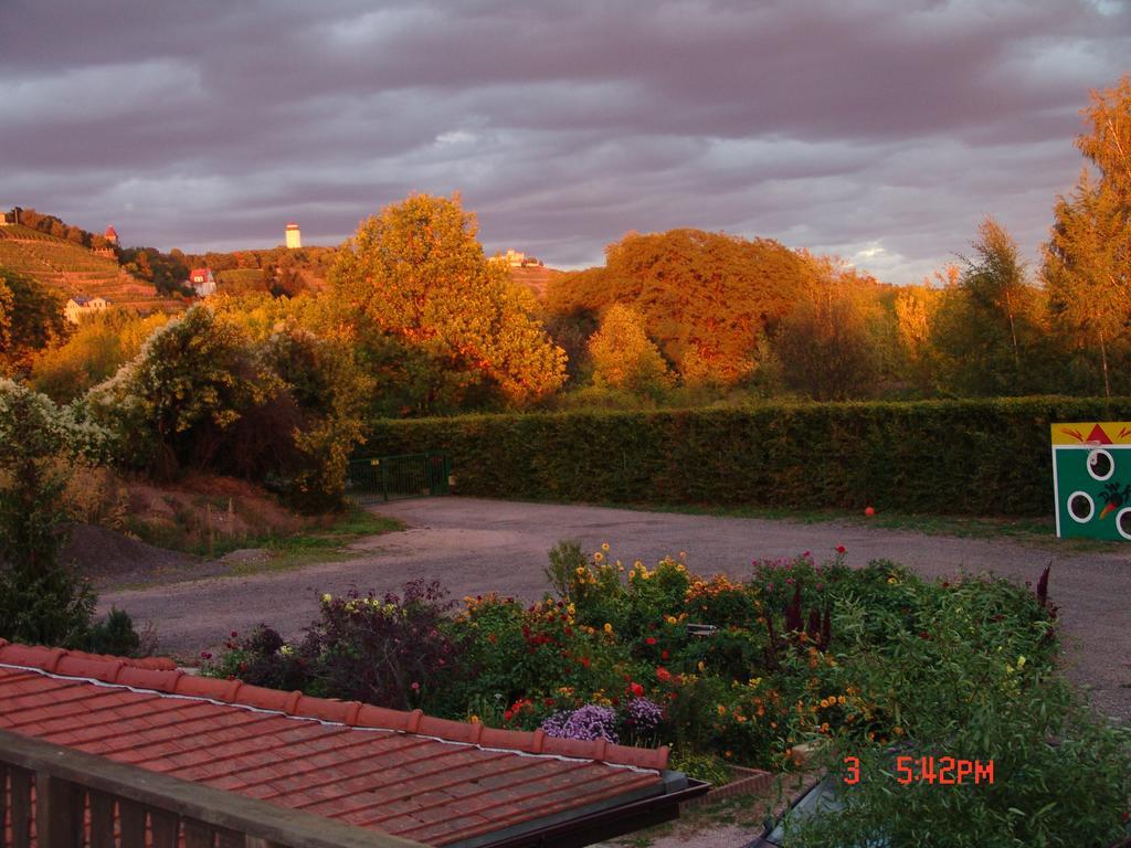 Ferienwohnung Mitko Radebeul Exterior foto